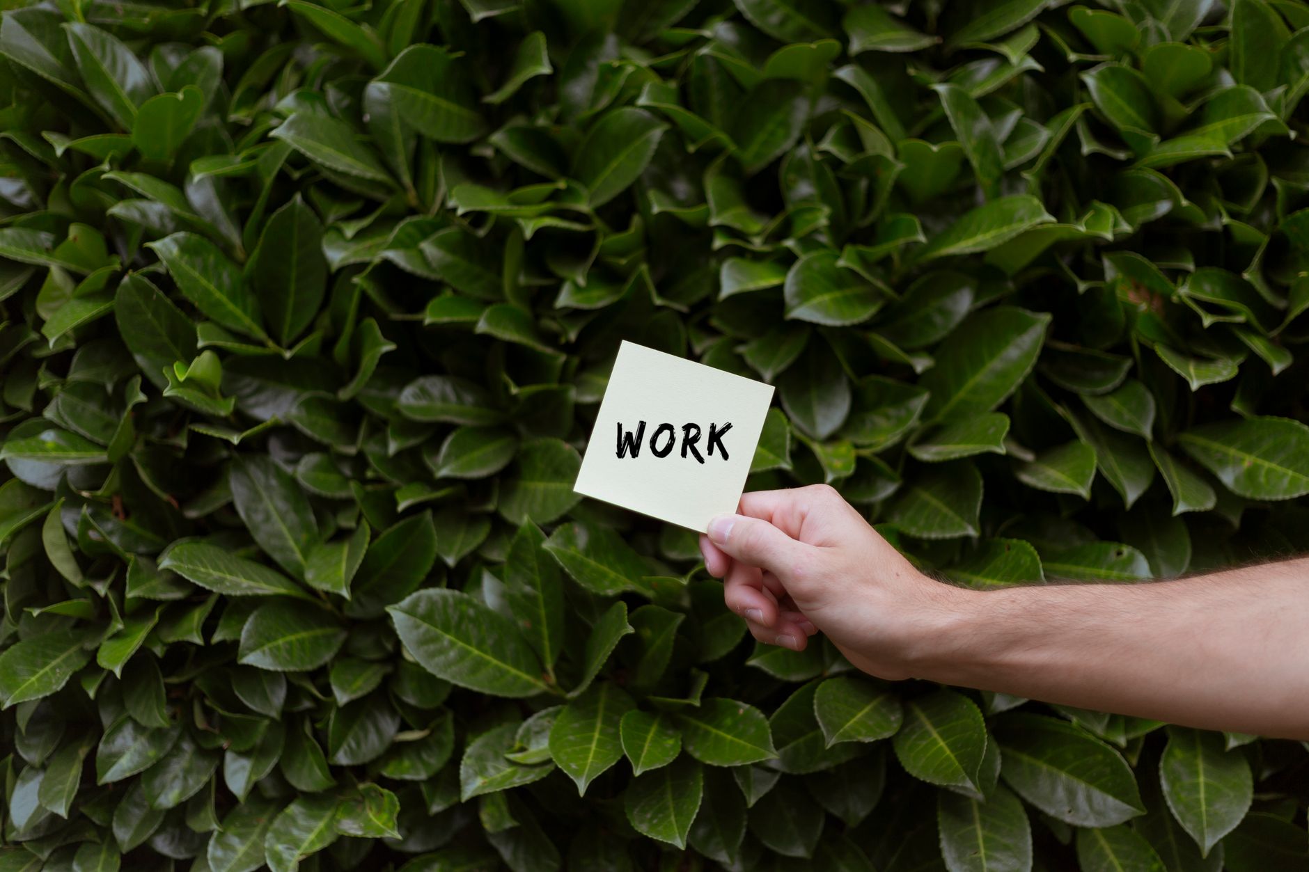 career growth